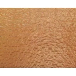 Lacewood Veneer - 3 sq. ft.